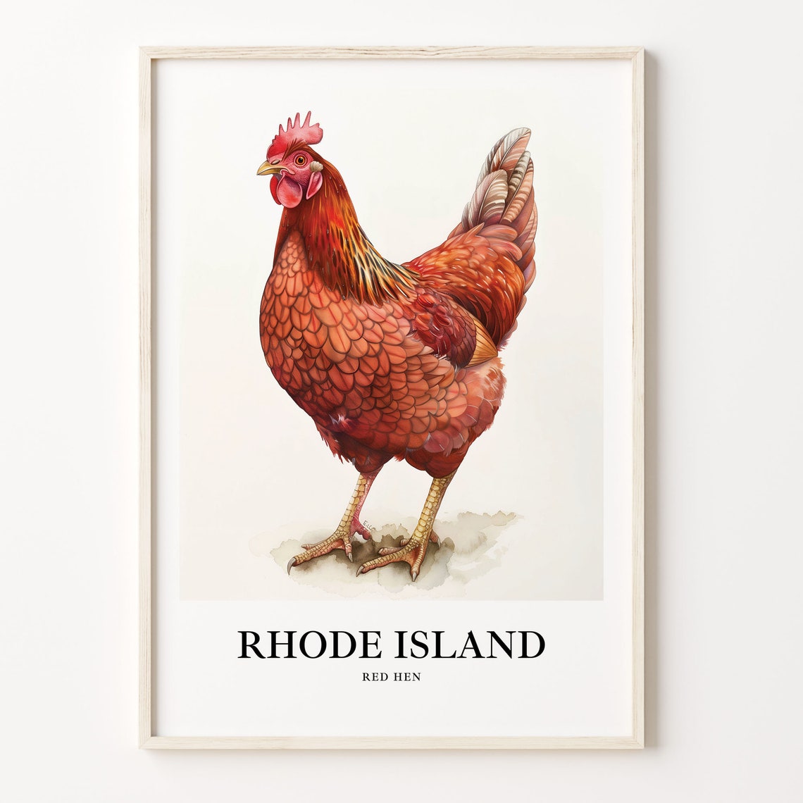 Proud Rhode Island Red Hen Watercolor Bird Illustration Poster