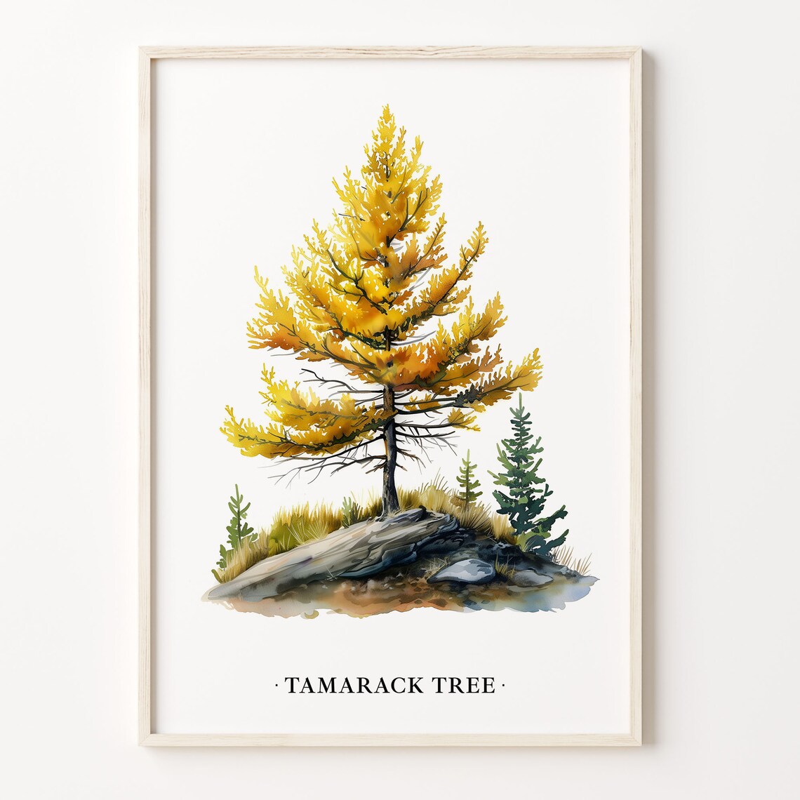 Tamarack Tree Watercolor Golden Larch Autumn Botanical Art Poster