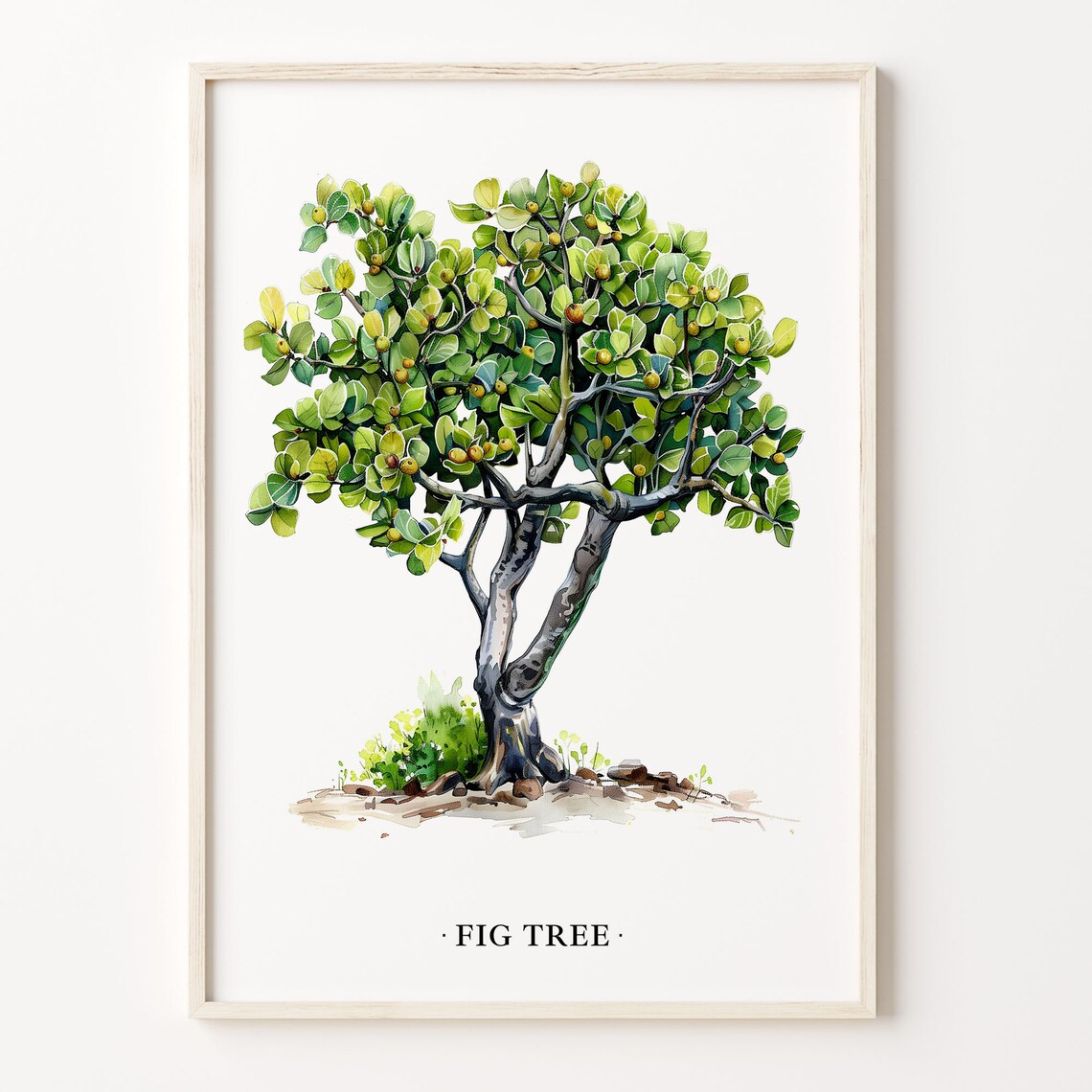 Fig Tree Botanical Art Print, Kitchen Decor