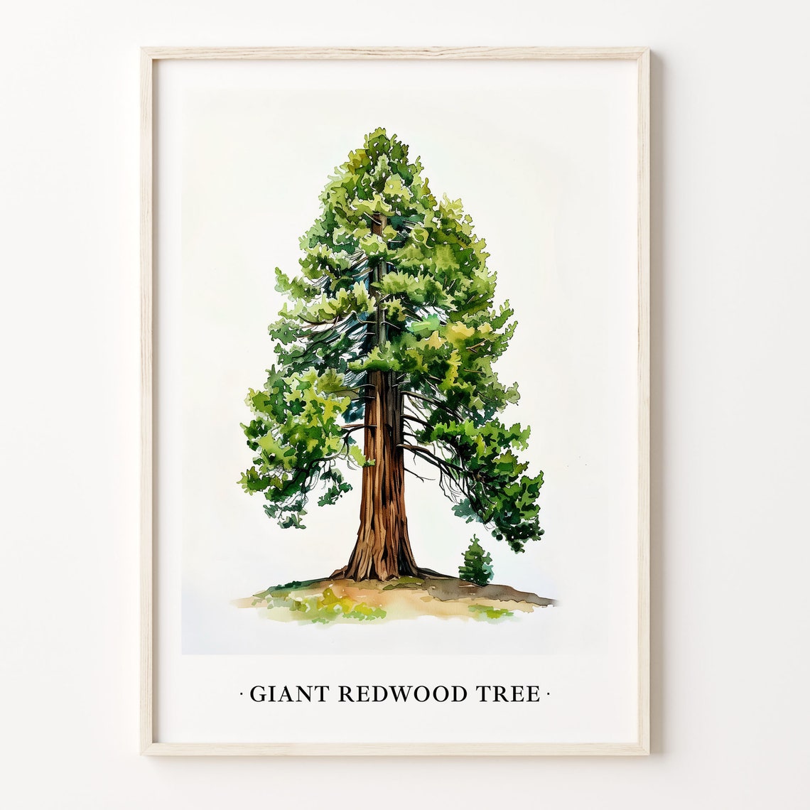 Giant Redwood Tree Watercolor Forest Botanical Wall Decor Poster