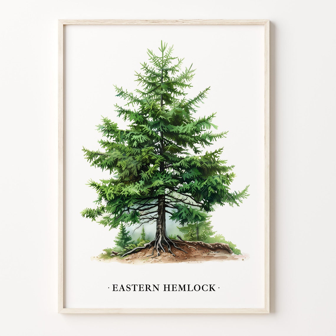 Eastern Hemlock Tree Watercolor Botanical Pine Forest Art Poster