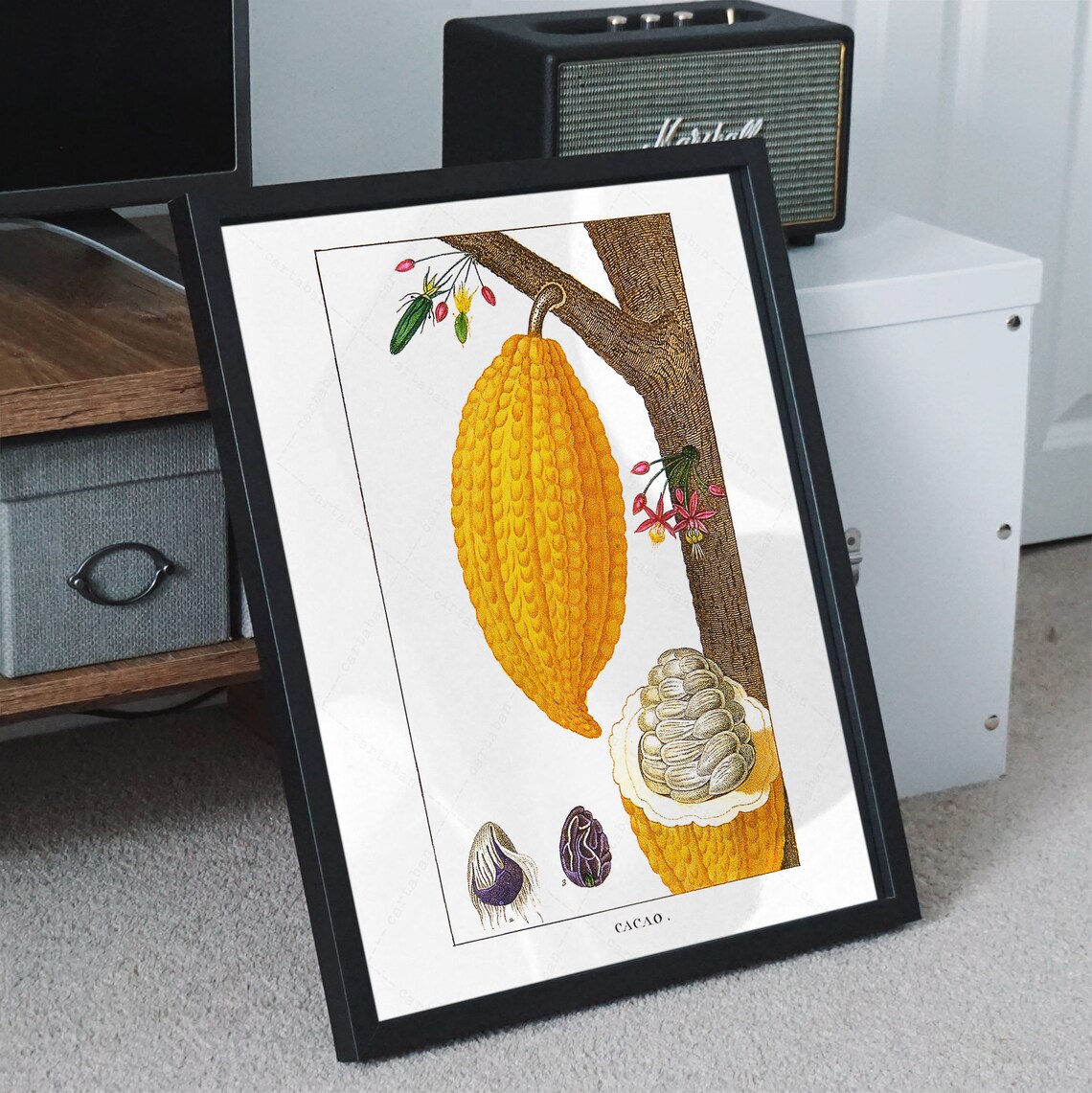 Theobroma Cacao Botanical Plate, Kitchen Art Print - Image 2