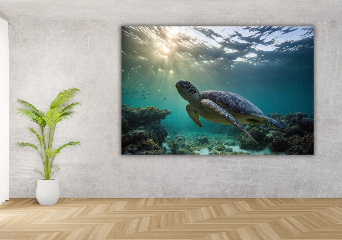 Green Sea Turtle Swimming Under Sun Rays Ocean Wildlife Art Poster - Image 3