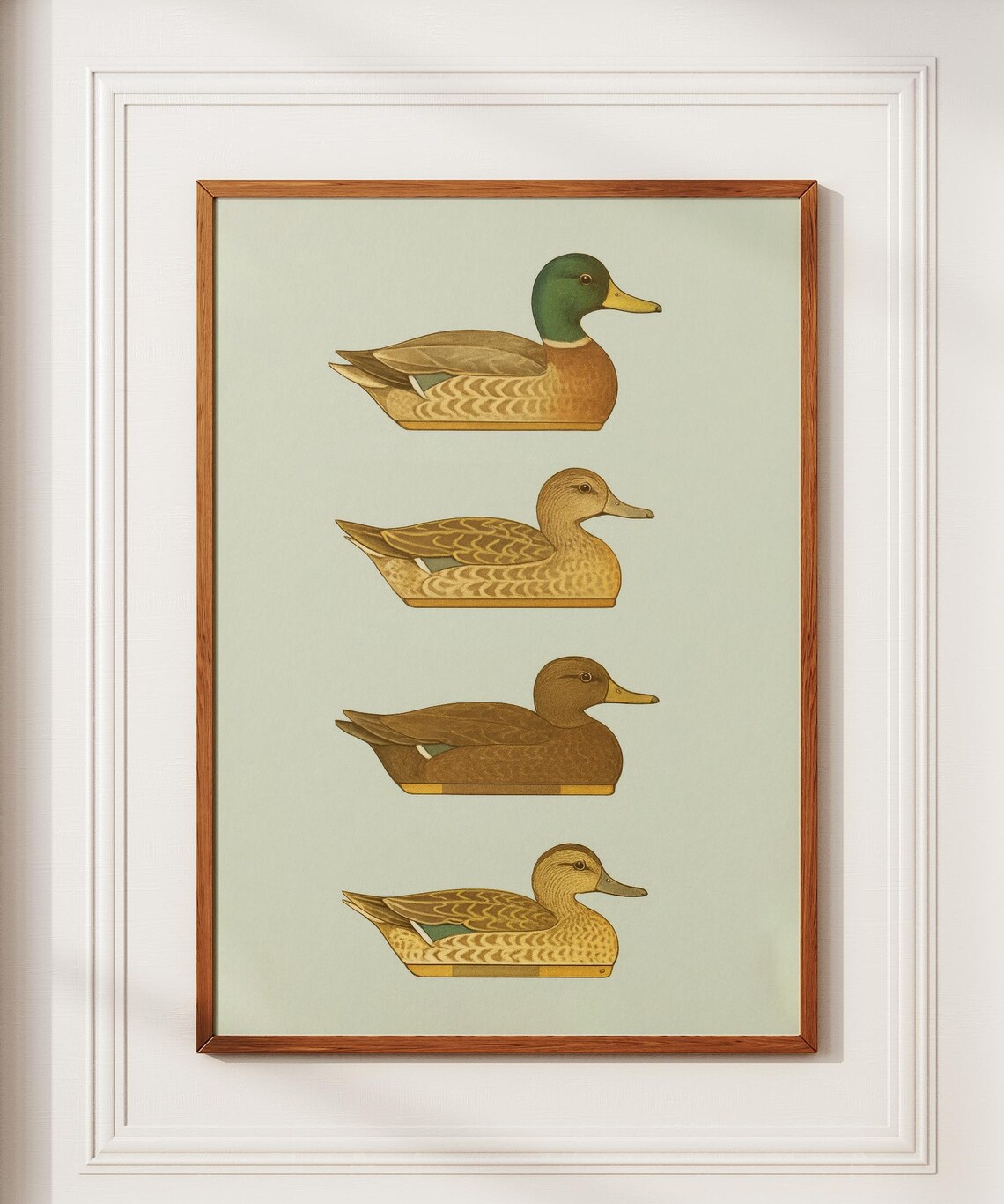 Vintage Duck Decoys Mallard Drake Hens Illustration Hunting Wall Art