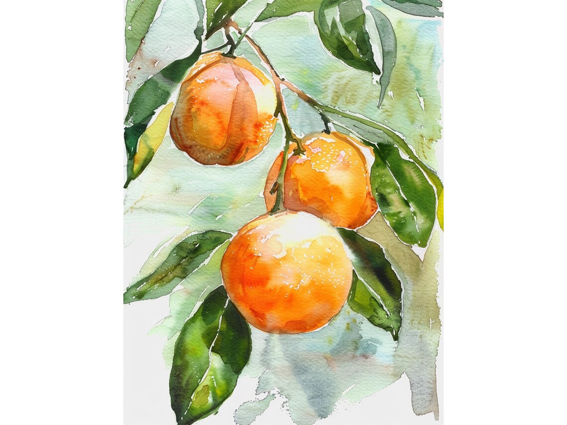 Orange Fruit Watercolor Kitchen Art Print