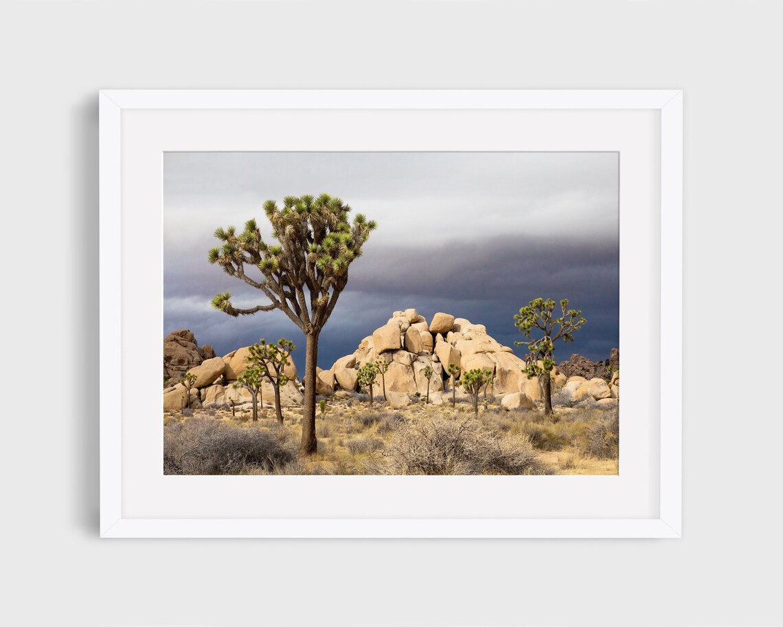 Joshua Tree, California Desert Landscape Art Print