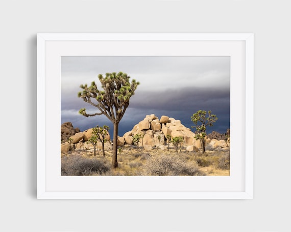 Joshua Tree, California Desert Landscape Art Print