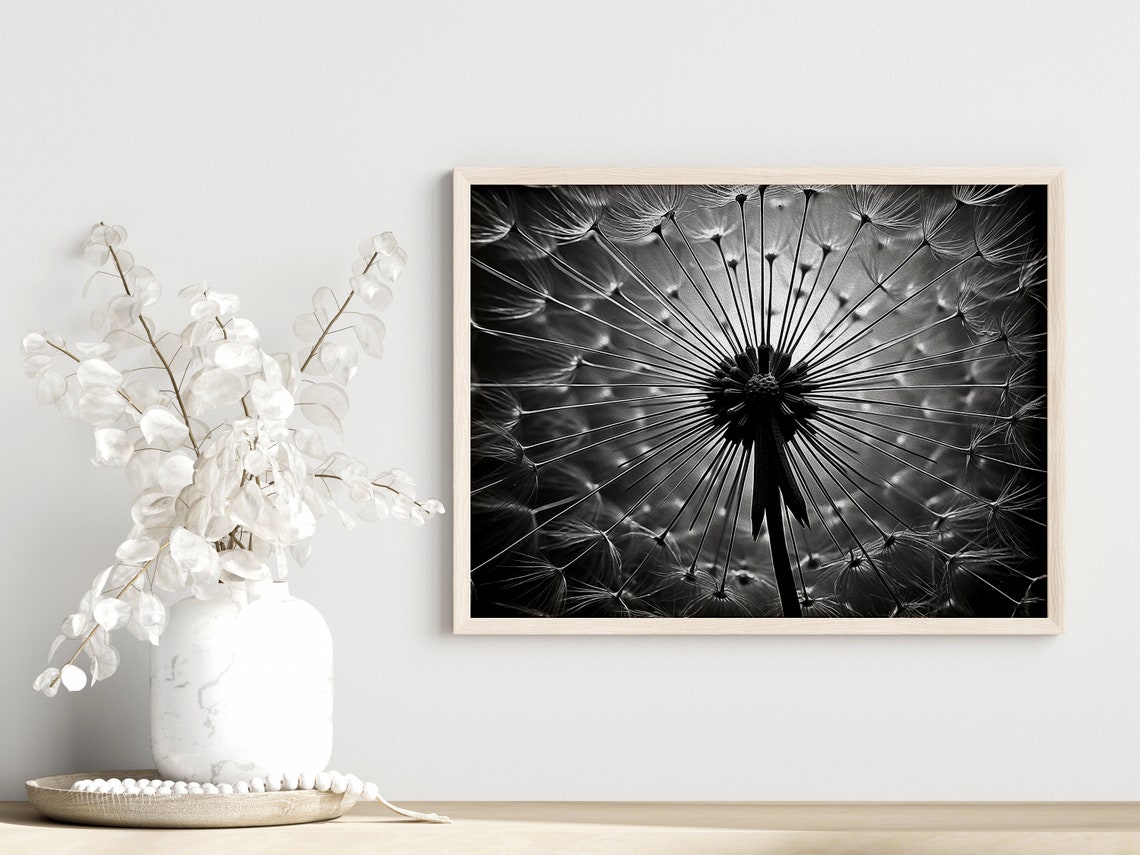 Black and White Dandelion Macro Seed Head Photography Poster