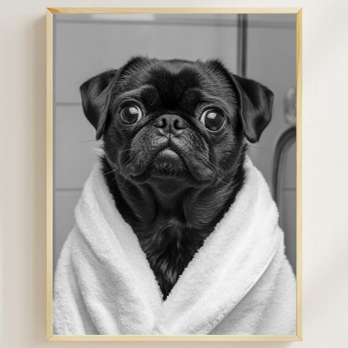 Black Pug in White Towel Black and White Funny Bathroom Poster