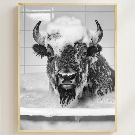 Bison Bubble Bath Funny Black And White Wild Animal Wall Poster