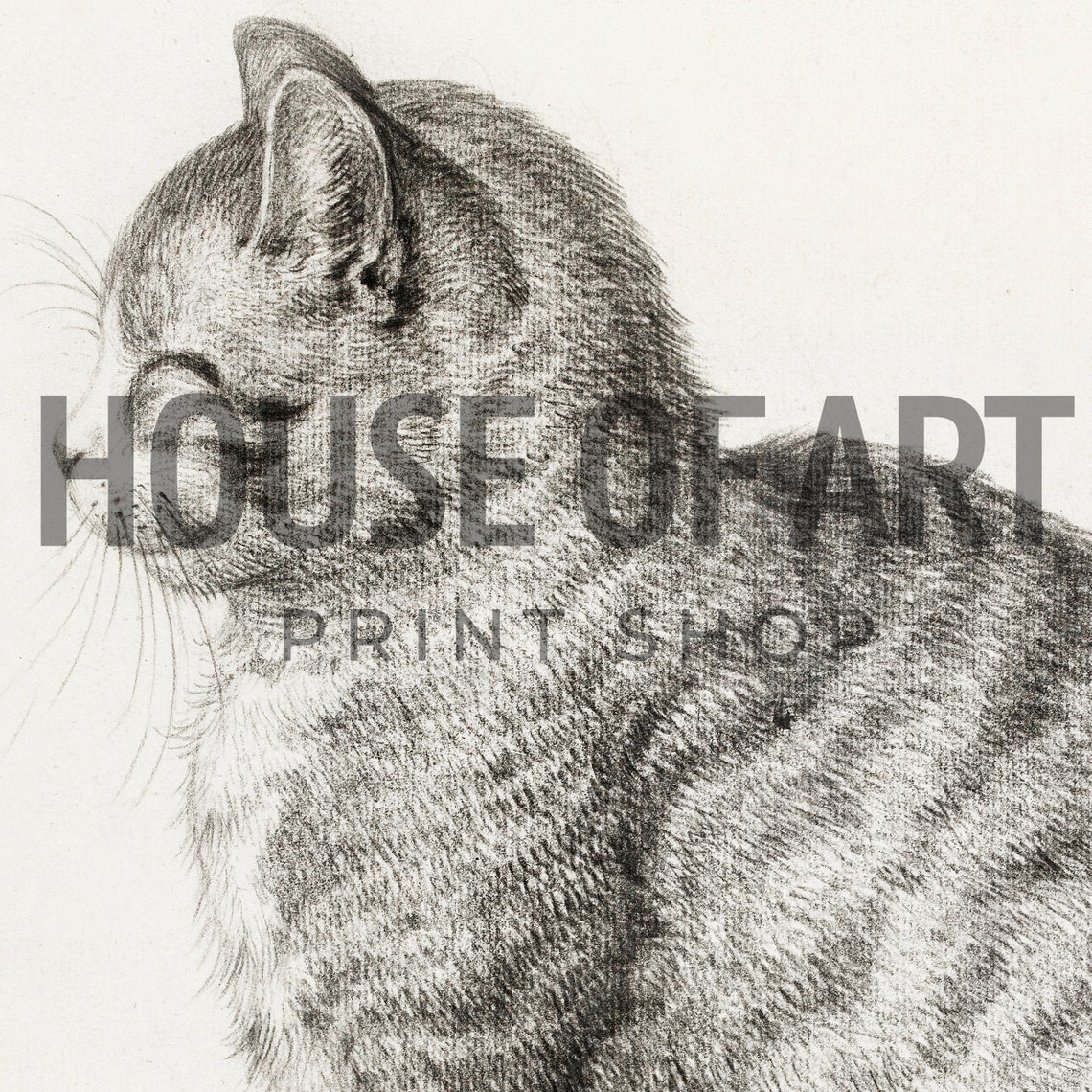 Sitting Tabby Cat Pencil Sketch Vintage Feline Drawing Print - Image 2