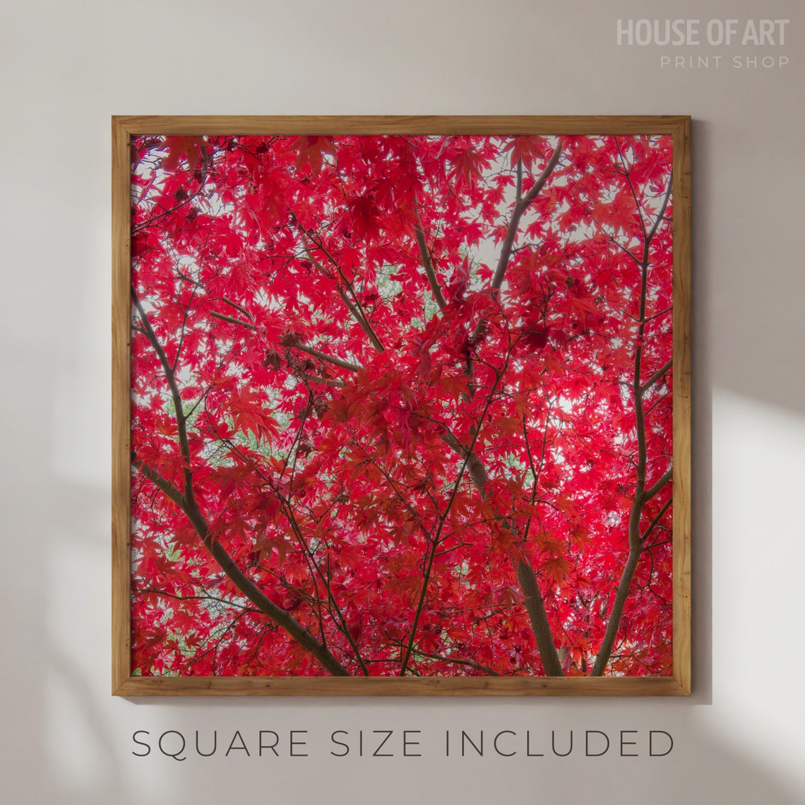 Red Autumn Maple Leaves Canopy Fall Photography Nature Art Poster - Image 2