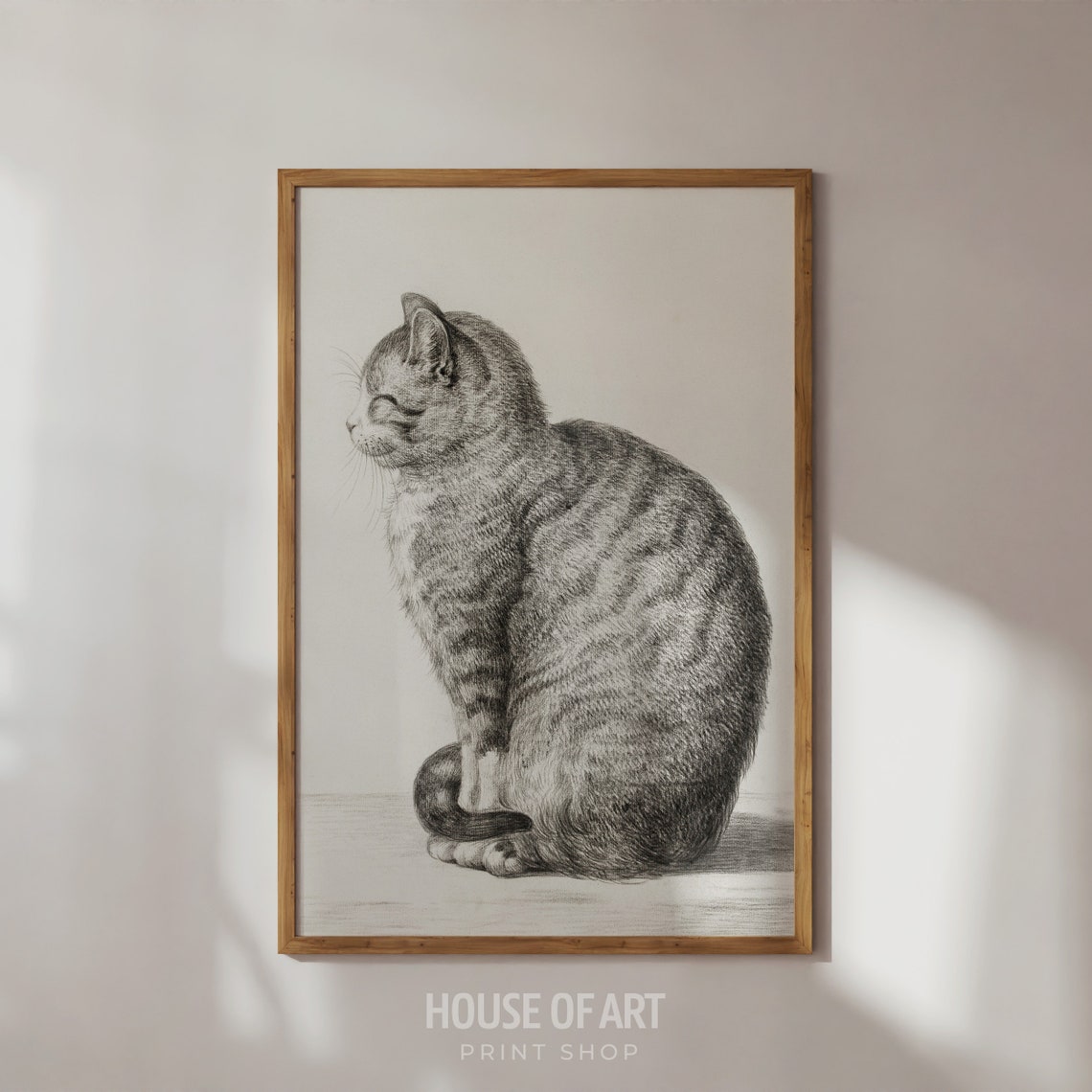Sitting Tabby Cat Pencil Sketch Vintage Feline Drawing Print