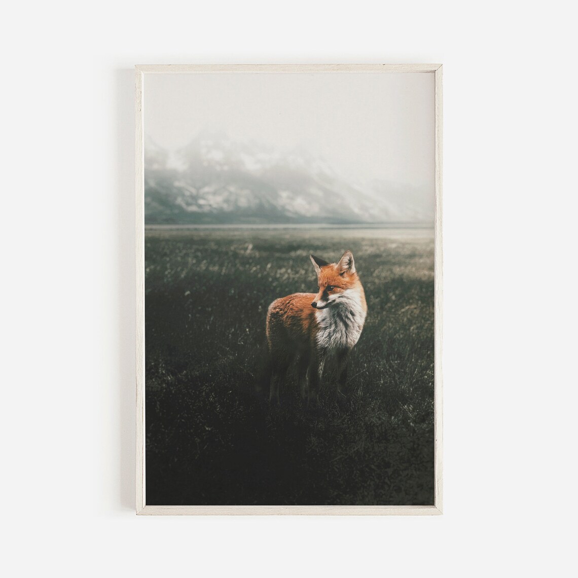 Fox In Forest Field Nature Art Print, Oregon