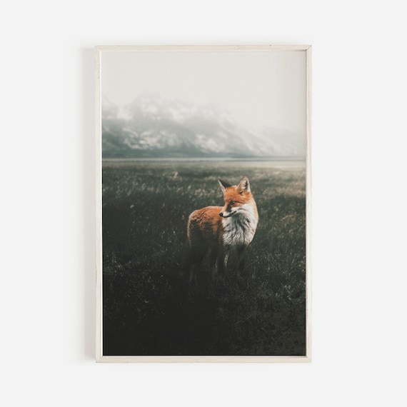 Fox In Forest Field Nature Art Print, Oregon