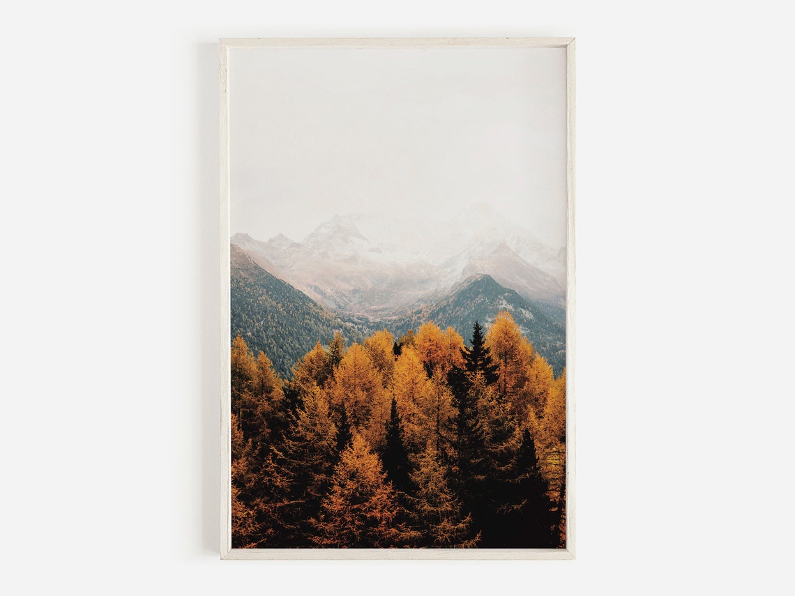 Foggy Mountain Peak Golden Larch Forest Fall Landscape Photo Poster
