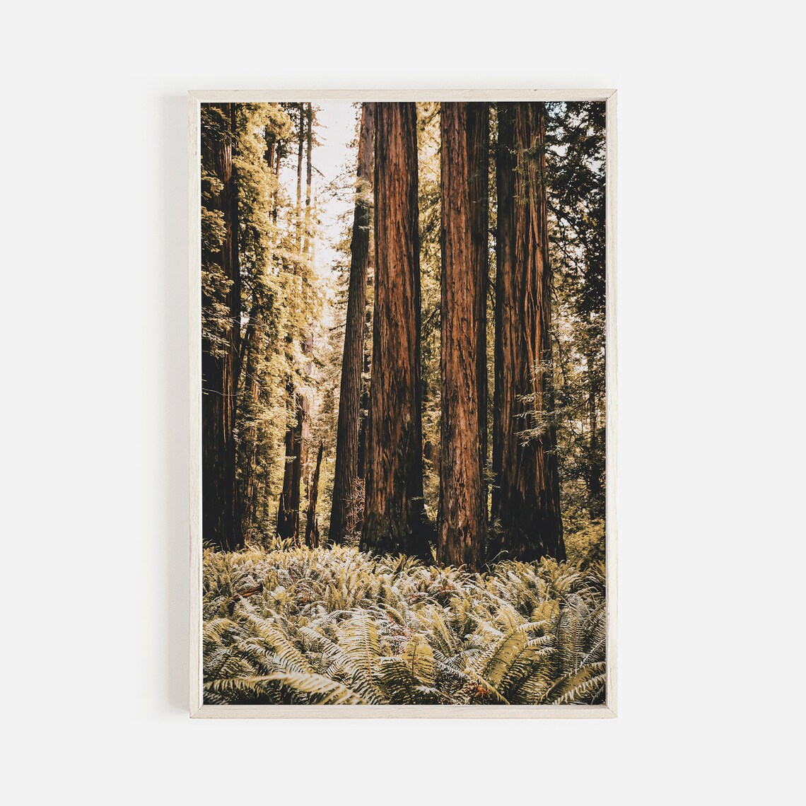 Forest Floor Print, Pacific Northwest Lodge Decor