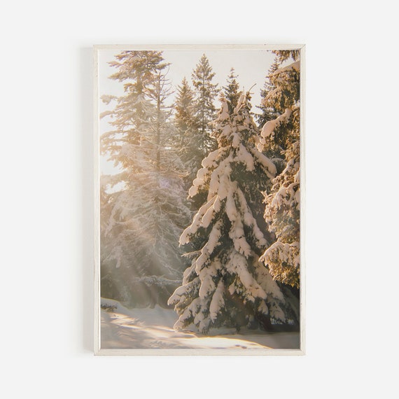 Snow Covered Forest Pine Tree Wall Art Winter Rustic Home Decor Nature Photography