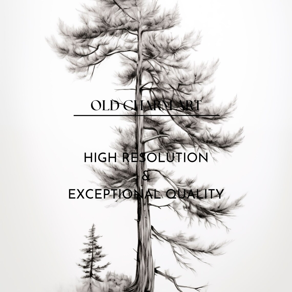 Rustic Tree Sketch Vintage Farmhouse Kitchen Art Print Cottagecore Wall Art Sk2 - Image 3