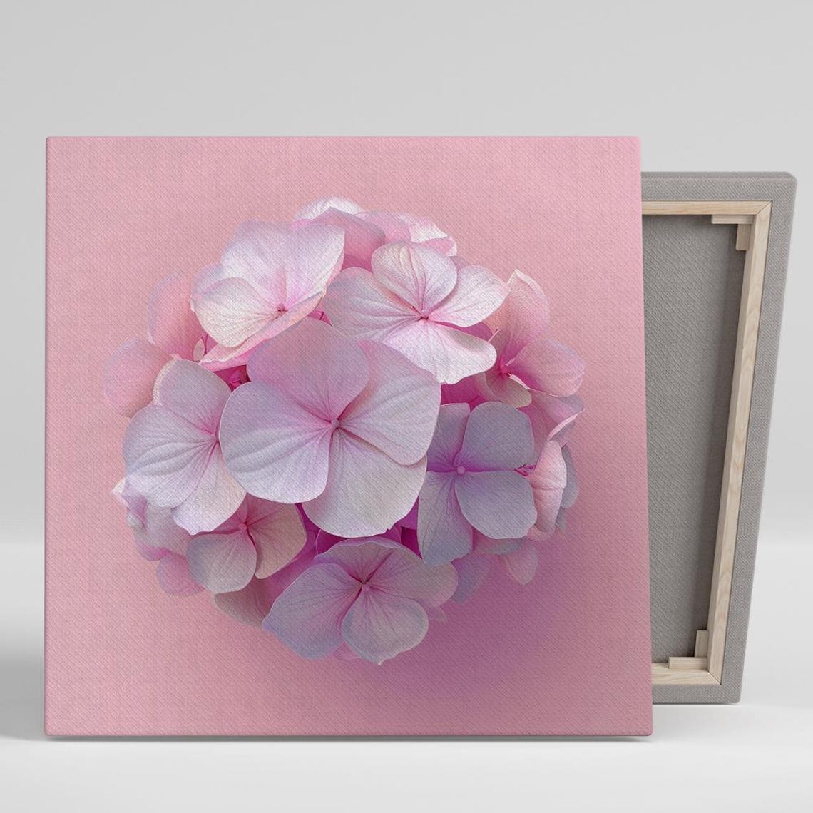 Blush Pink Hydrangea Bloom Elegant Macro Floral Wall Art Poster