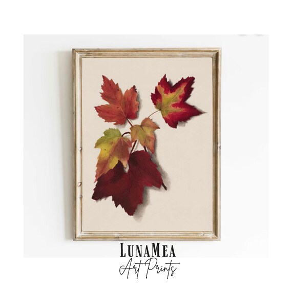 Vintage Botanical Red Maple Leaves Autumn Watercolor Fall Foliage Art Poster