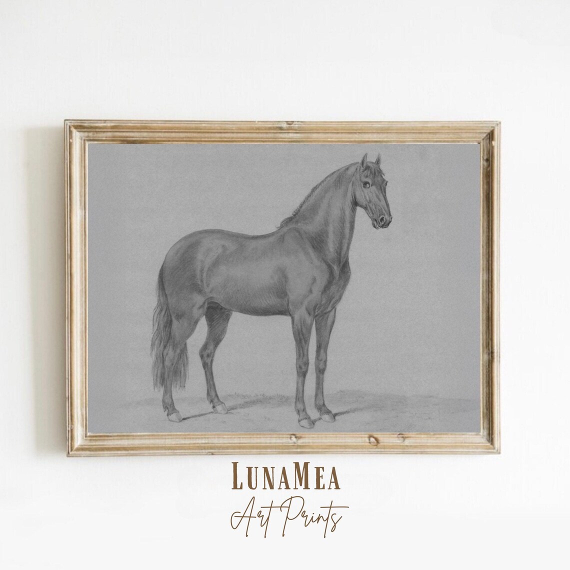 Antique Horse Pencil Drawing Vintage Equestrian Sketch Study Wall Art