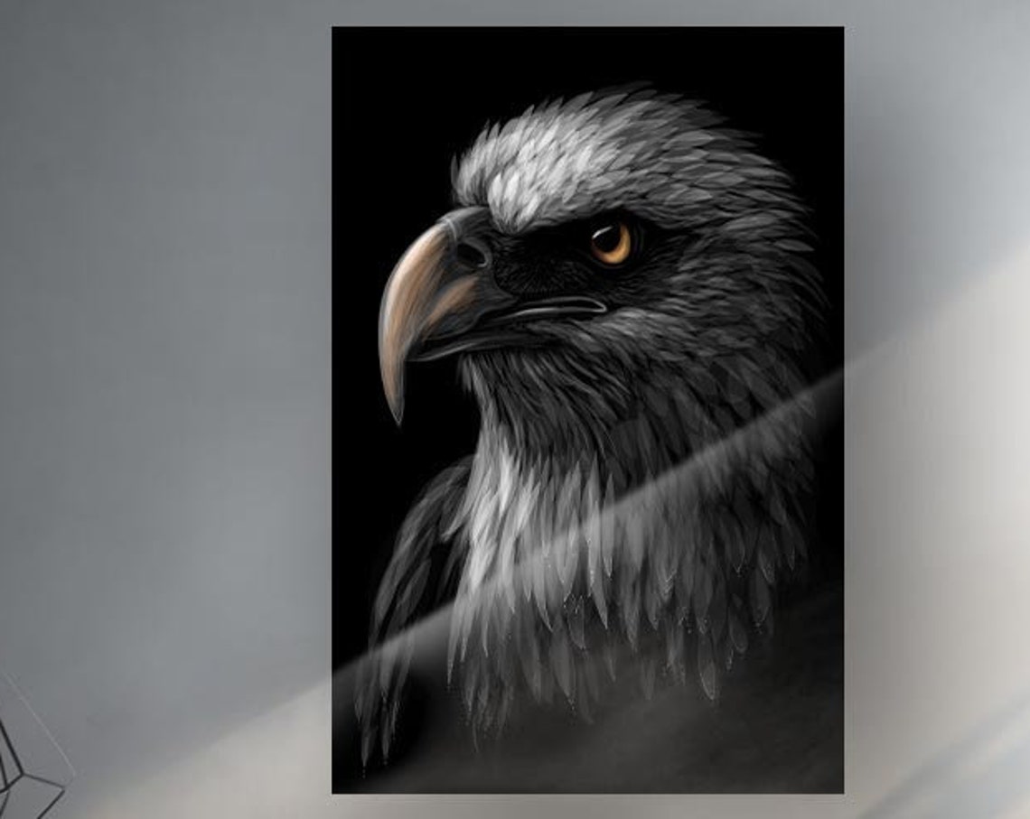 Majestic Black Eagle Head Portrait Amber Eye Wildlife Bird Poster