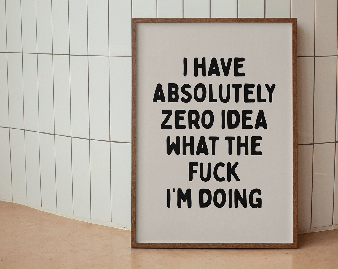 I Have Absolutely Zero Idea What The Fuck Im Doing Funny Poster
