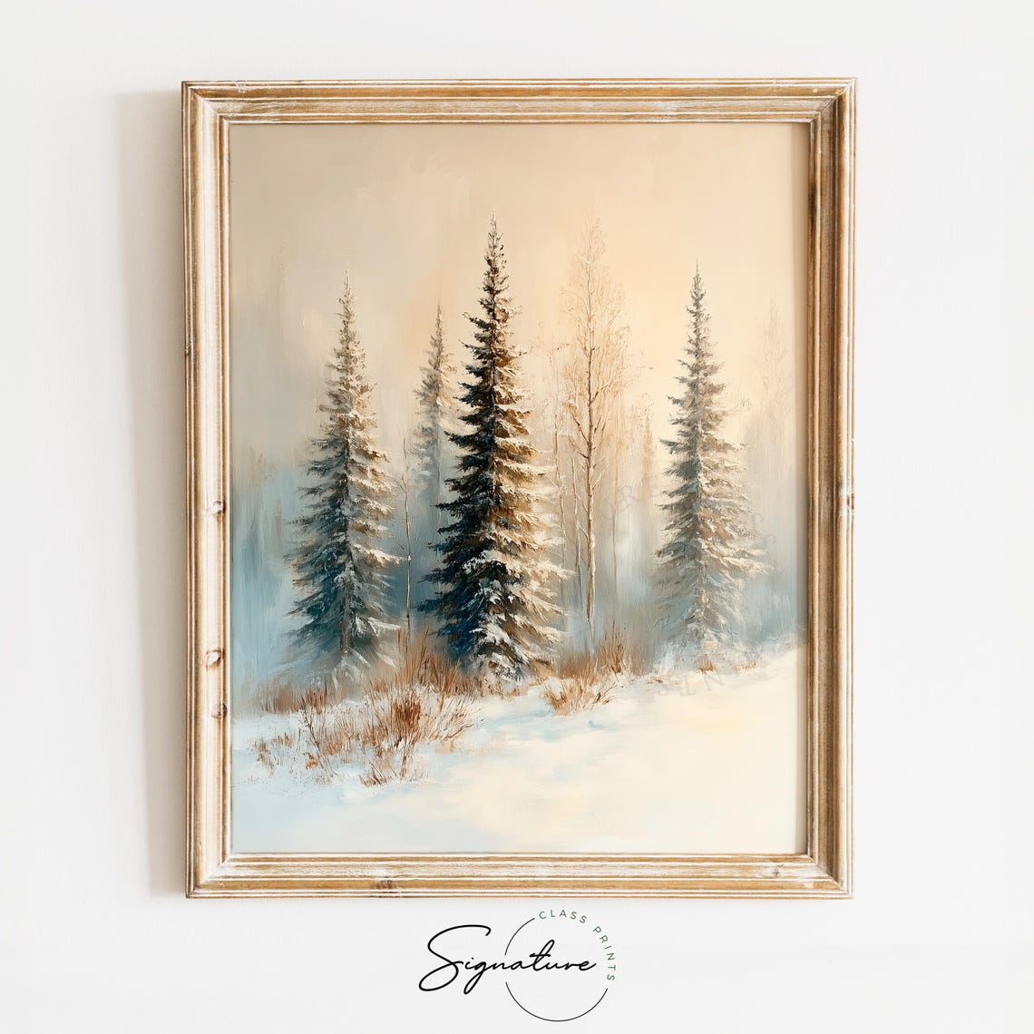 Four Frosted Pines in Misty Soft Winter Morning Forest Poster
