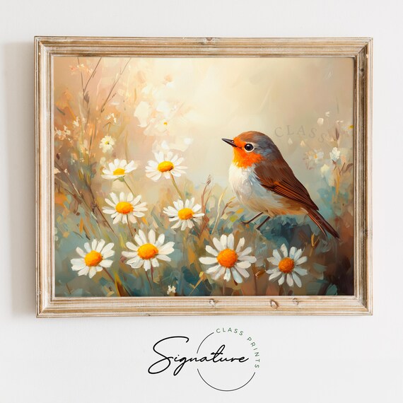 Sunlit Robin Among White Daisies Warm Golden Spring Bird Wall Art