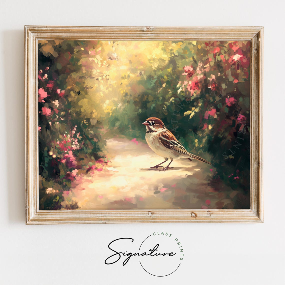 Sparrow On Sunlit Garden Path Among Pink Spring Blossoms Poster