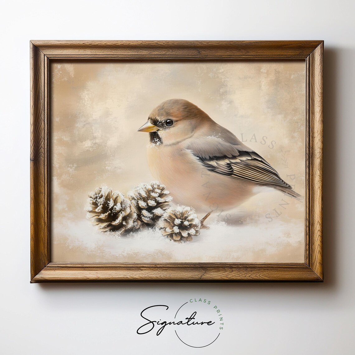 Chaffinch With Snowy Pinecones Winter Bird Art Vintage Print - Image 5
