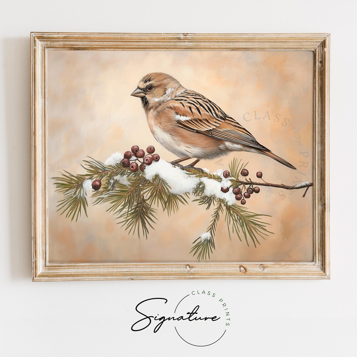 Linnet On Snowy Pine Branch With Juniper Berries Vintage Print