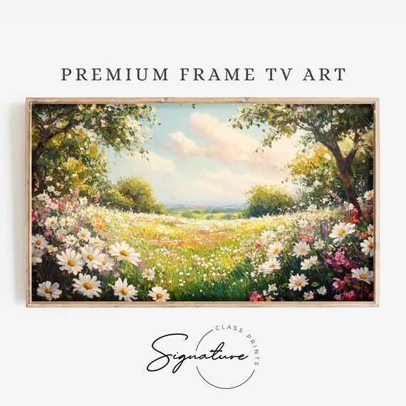 White Daisy Meadow In Bloom Spring Wildflowers Sunny Landscape Art Poster