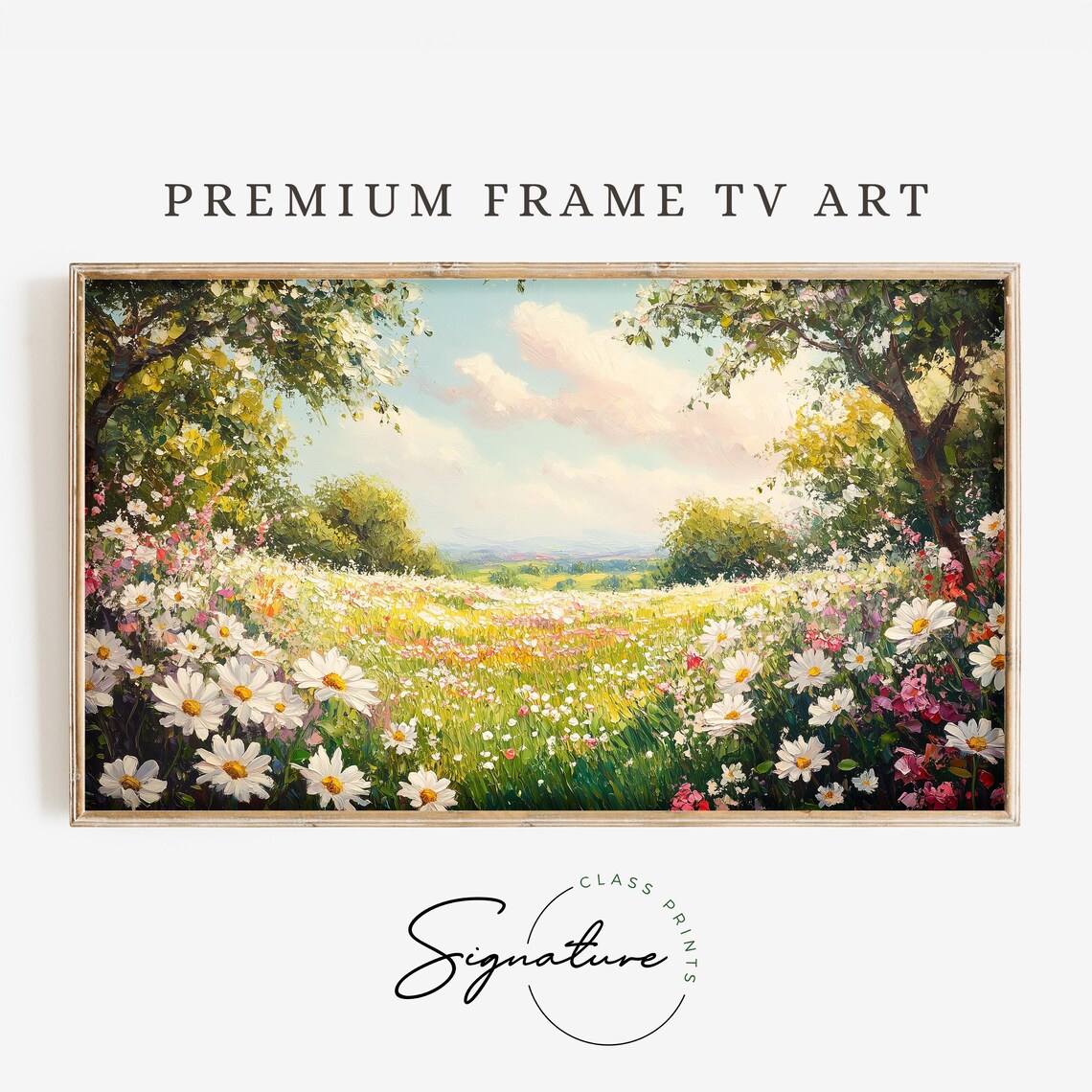 White Daisy Meadow In Bloom Spring Wildflowers Sunny Landscape Art Poster