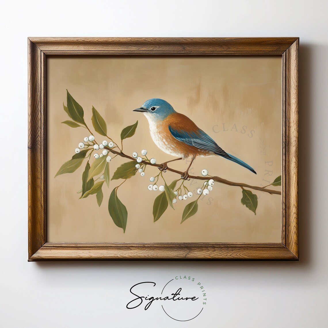 Eastern Bluebird on Berry Branch Warm Beige Vintage Bird Poster - Image 5