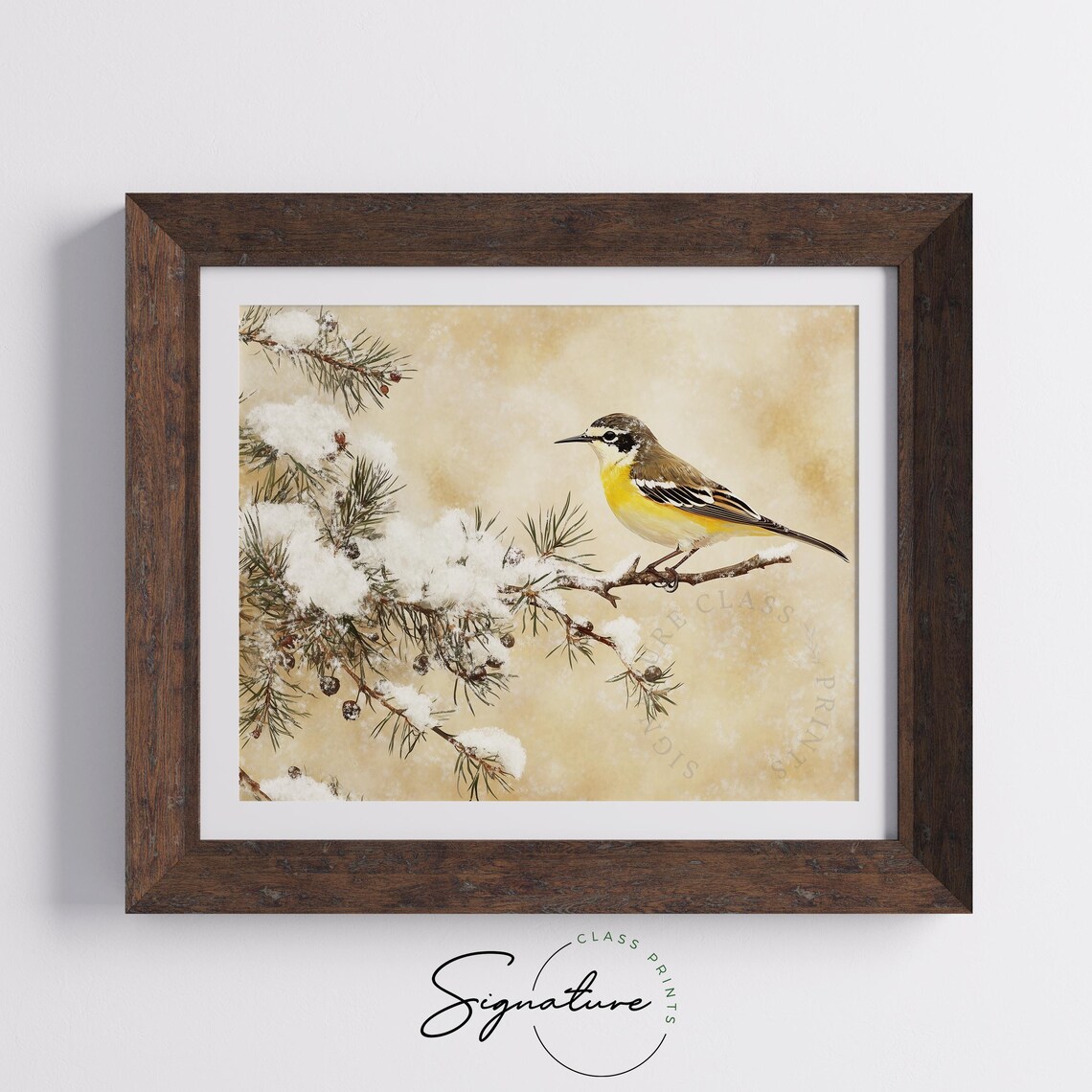 Yellow Wagtail on Snow Dusted Juniper Branch Winter Bird Poster - Image 4