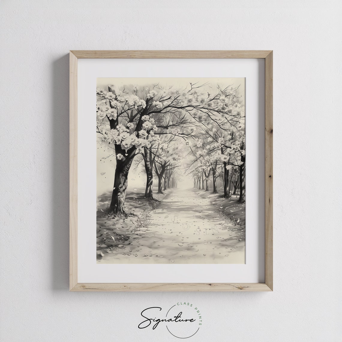 Tranquil Cherry Blossom Path In Spring Monochrome Ink Sketch Poster - Image 3
