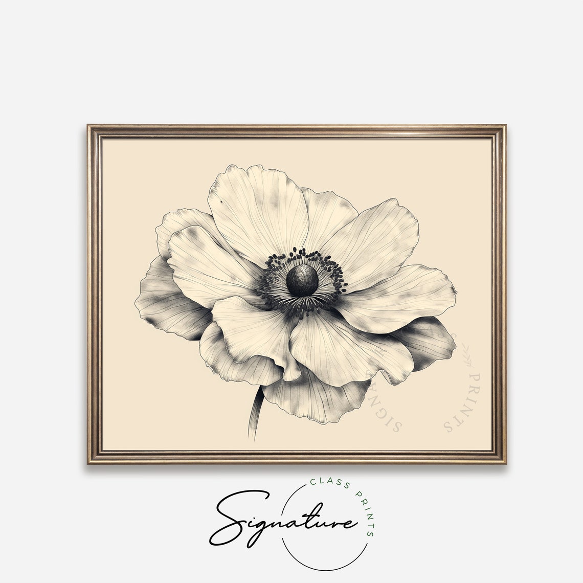 White Anemone Bloom Close Up Delicate Botanical Sketch Art Poster - Image 4