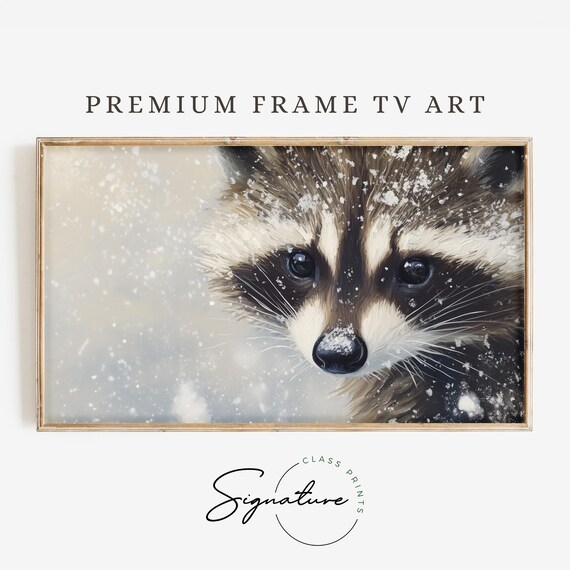 Raccoon Face Close Up in Falling Snow Winter Wildlife Poster