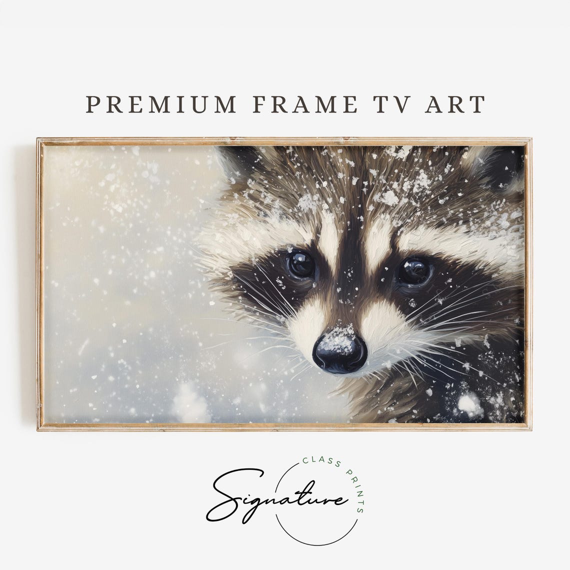 Raccoon Face Close Up in Falling Snow Winter Wildlife Poster