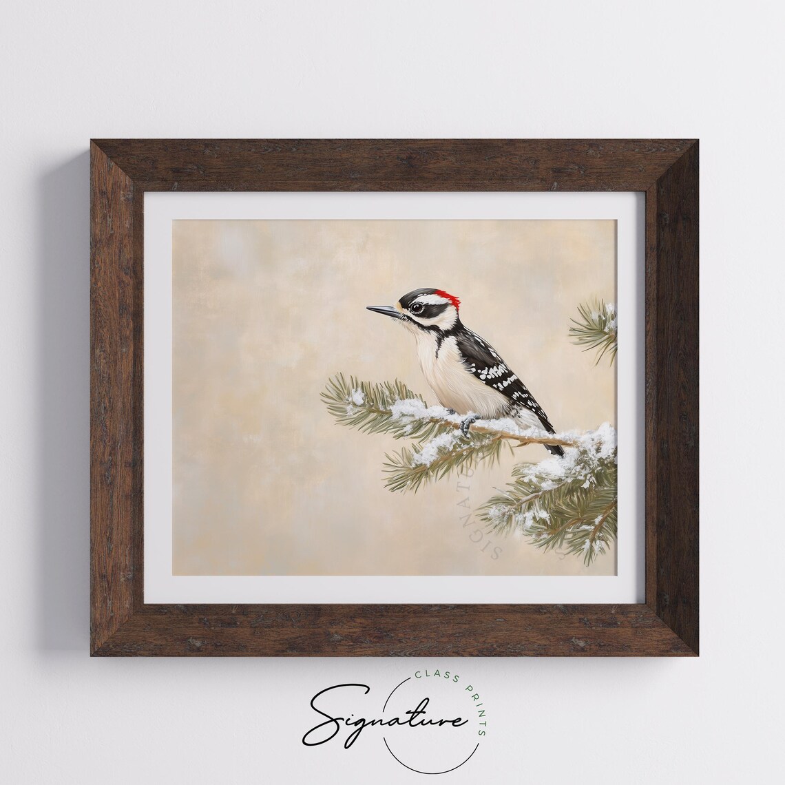 Detailed Downy Woodpecker On Snowy Pine Branch Vintage Bird Poster - Image 4