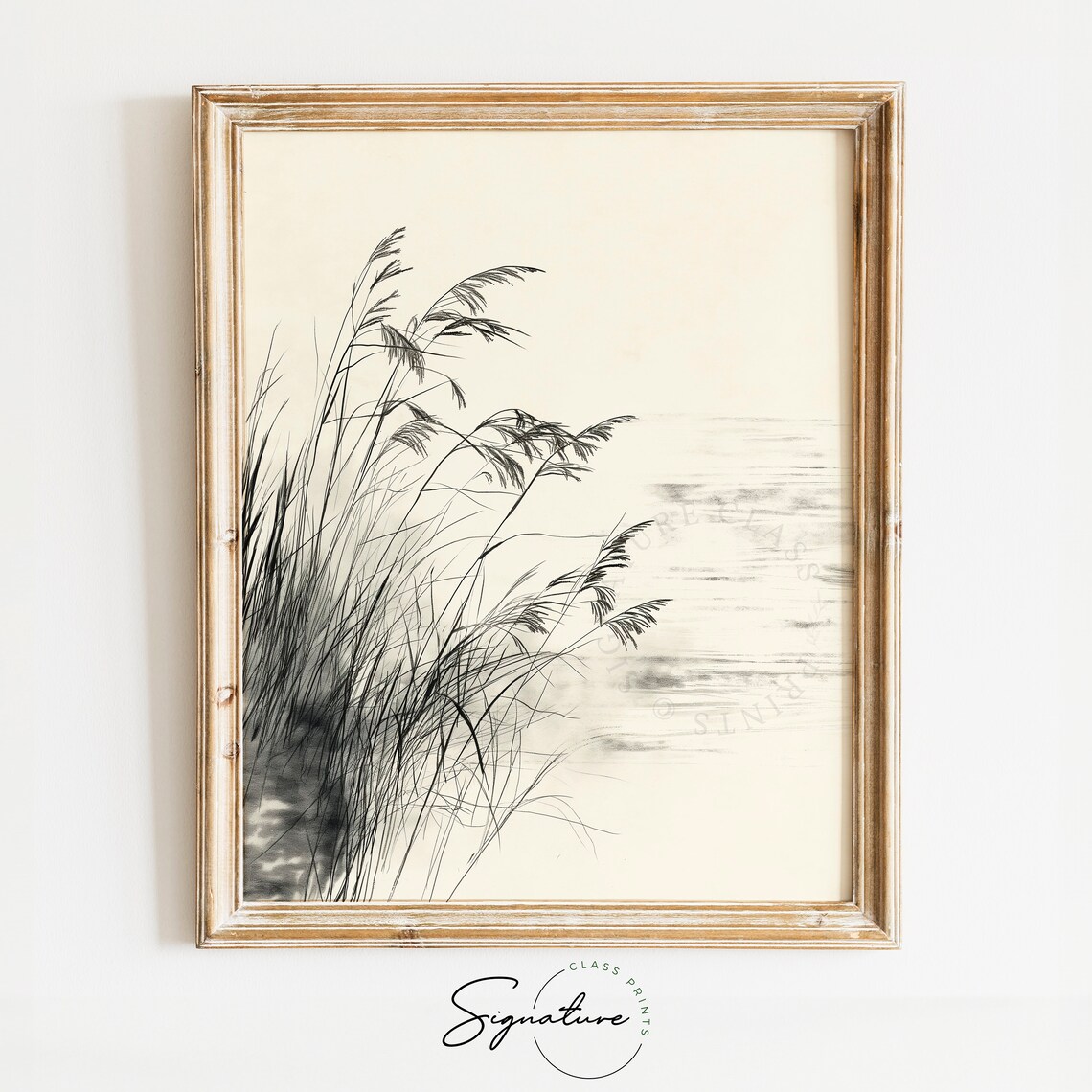 Tall Riverbank Grasses Swaying In Wind Monochrome Sketch Poster