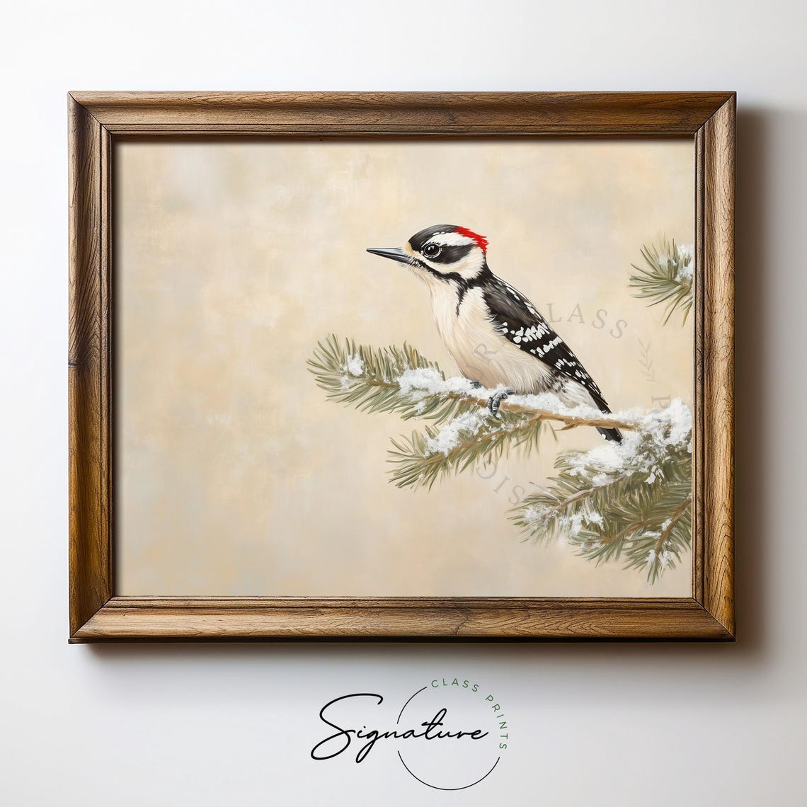 Detailed Downy Woodpecker On Snowy Pine Branch Vintage Bird Poster - Image 5