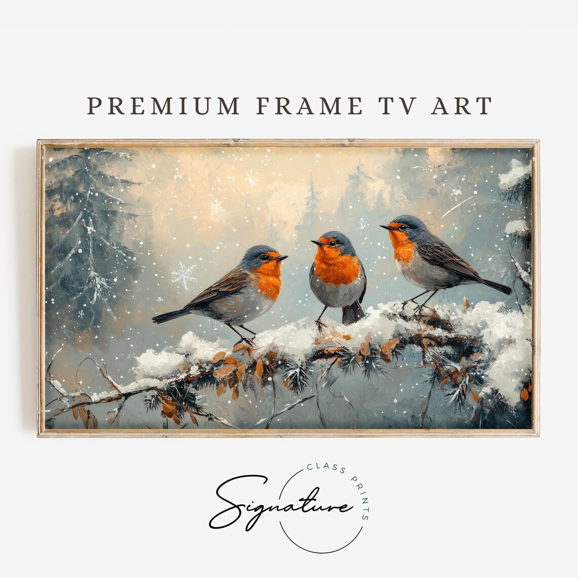 Robin Trio On Snowy Pine Branch In Gentle Snowfall Winter Art Poster