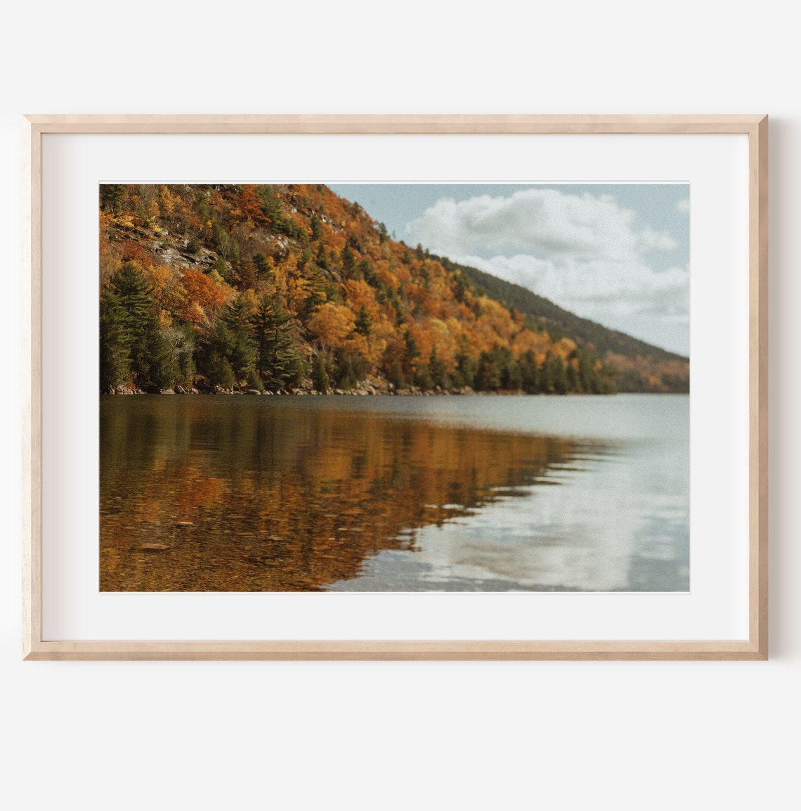 Acadia Jordan Pond Autumn Foliage Mountain Reflection Poster