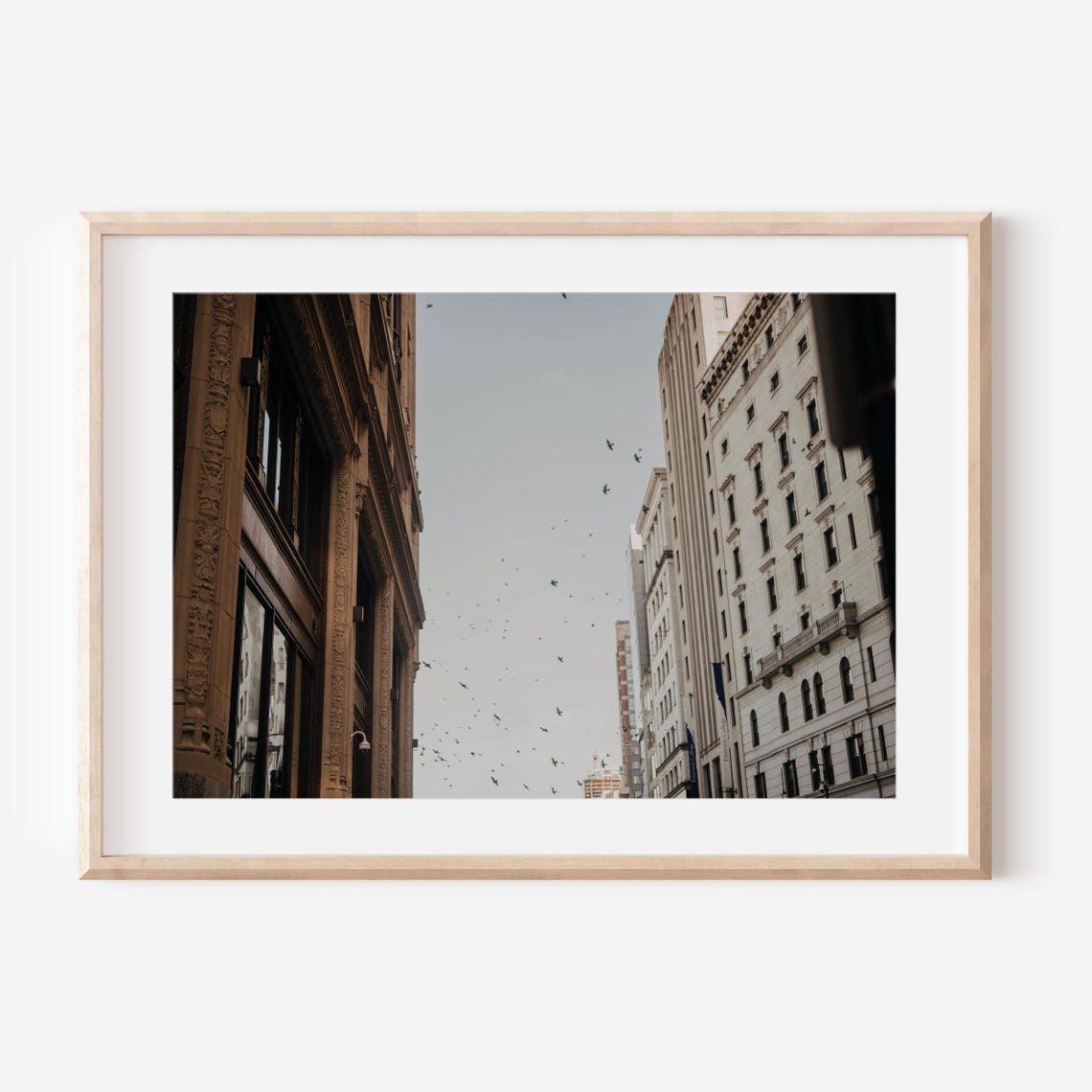 Boston Street Buildings With Birds Flying Across the Sky Poster