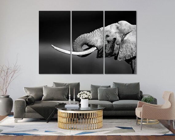 African Elephant Black White Triptych Close Up Wildlife Wall Art