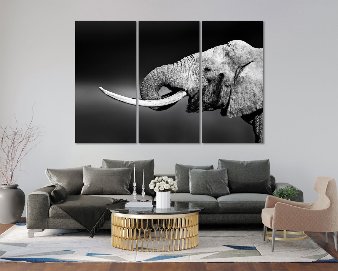 African Elephant Black White Triptych Close Up Wildlife Wall Art
