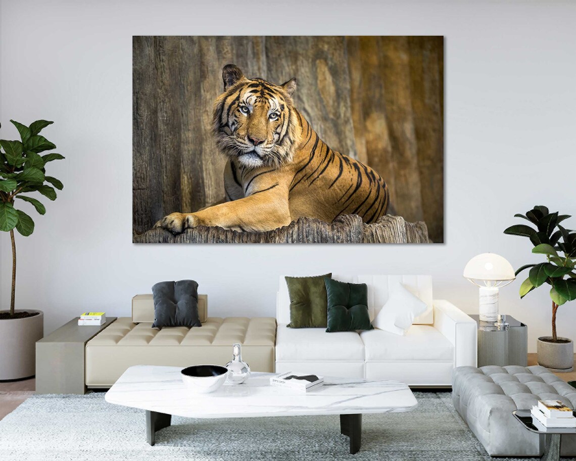 Tiger Wall Art, Modern Big Cat Poster Print